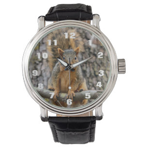 Montre Écureuil de fox