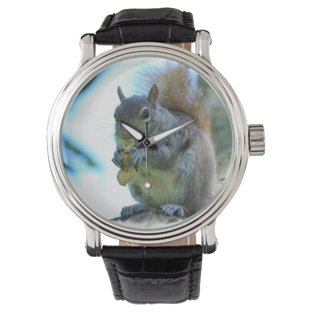 Montre Écureuil gris (devant)