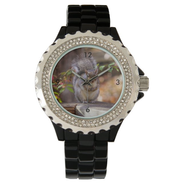 Montre Écureuil mendiant (devant)