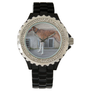 Montre Elder Brindle Greyhound