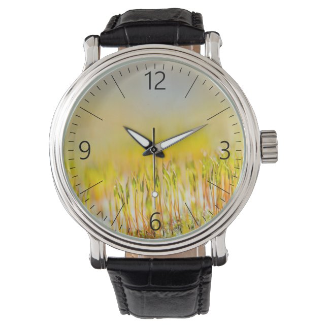 Montre Épouses colorées (devant)