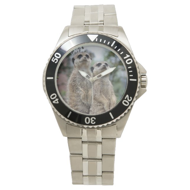 Montre Erdmännchen - Meerkats (devant)
