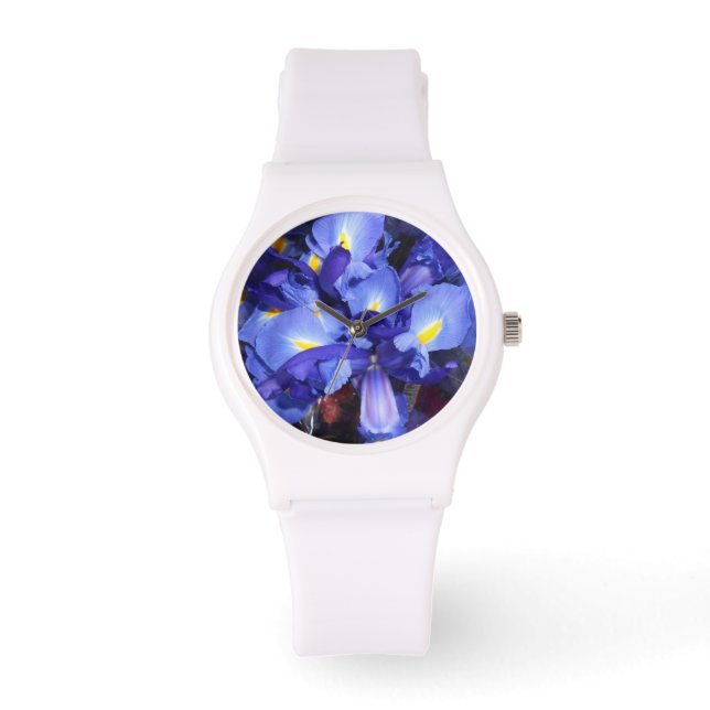 Montre Ermengarde (Recto)