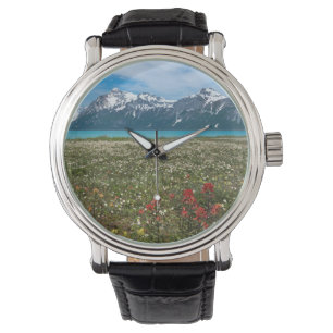 Montre États-Unis, Alaska, Glacier Bay National Park 2