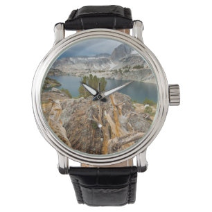 Montre États-Unis, Californie, Forêt nationale d'Inyo.