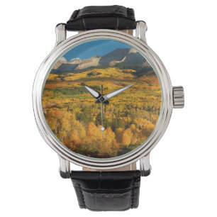 Montre États-Unis, Colorado, Forêt nationale de Gunnison