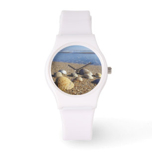Montre États-Unis, Floride, coquillages côtiers