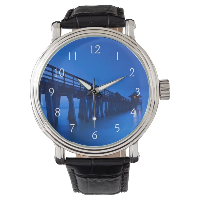 Montre États-Unis, Floride, Côte du Golfe, Naples, Naples (devant)