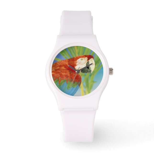 Montre États-Unis, Hawaï. Perroquet (Recto)