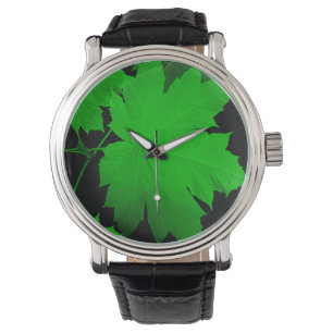 Montre États-Unis, Kansas, Feuilles de chêne dans la lumi