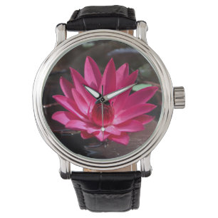 Montre États-Unis, Kansas, Nénuphar rouge vif
