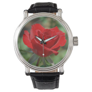 Montre États-Unis, Kansas, Rose rouge