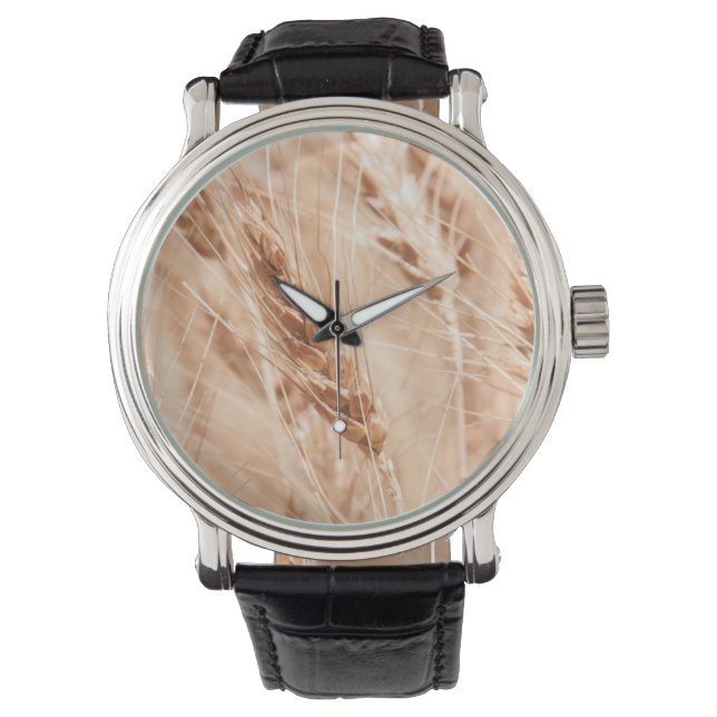 Montre États-Unis, Kansas, Wheat At Harvest Time (devant)