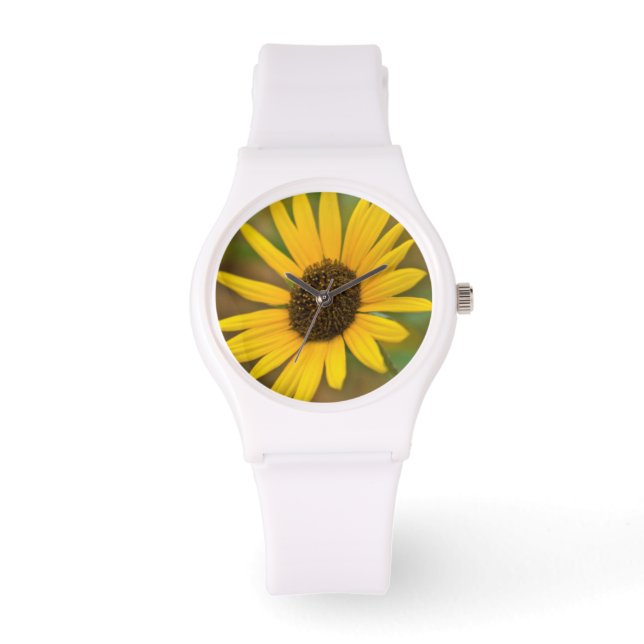Montre États-Unis, Kansas. Wild Sunflower (Recto)