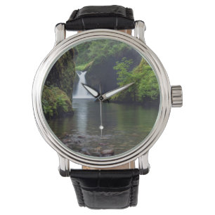 Montre États-Unis, Oregon, Columbia River Gorge 5