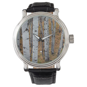 Montre États-Unis, Utah, Forêt nationale d'Uinta-Wasatch-