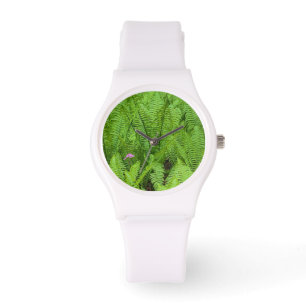 Montre États-Unis, Washington, Seattle, Washington Park