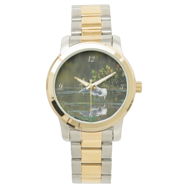Montre Examen de l'aile Egret (devant)