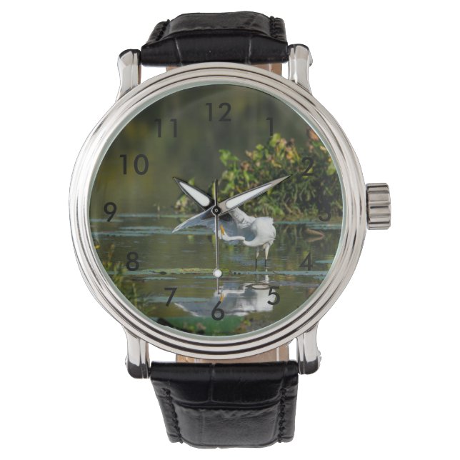 Montre Examen de l'aile Egret (devant)
