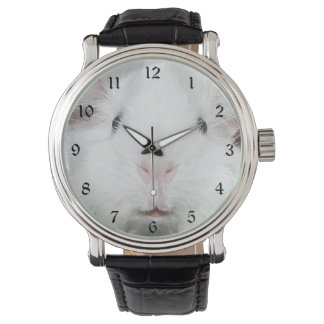 Montre Face blanche de cobaye