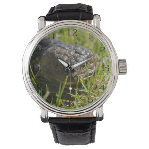 Montre Face de lézard à dos écailleux,