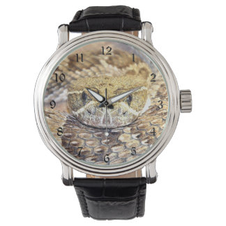 Montre Face de sonnerie