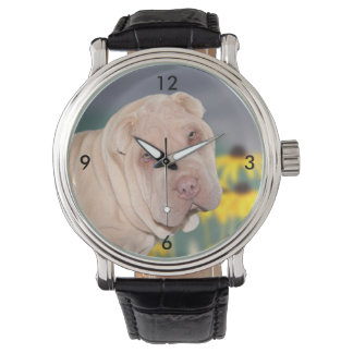 Montre Face Shar Pei