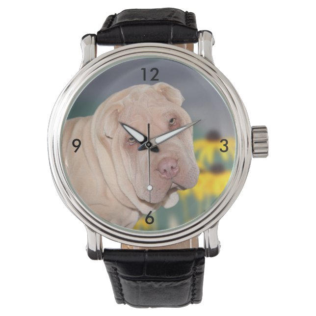 Montre Face Shar Pei (devant)