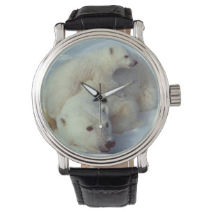 Montre Famille blanche d'ours blanc
