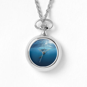 Montre Famille de dauphin