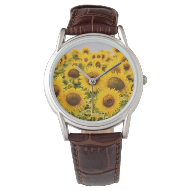 Montre Farms | A Sunflower (devant)