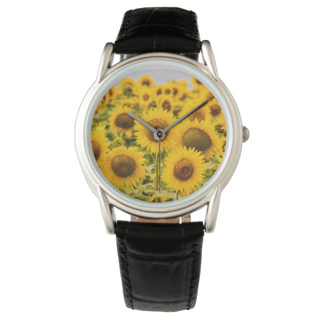 Montre Farms | A Sunflower (devant)