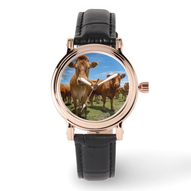 Montre Farms | Brown Cow Group (Recto)
