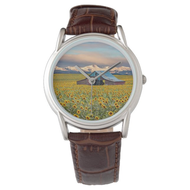 Montre Farms | Field (devant)