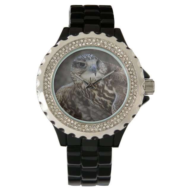 Montre Faucon (devant)