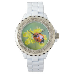 Montre femme au sommet
