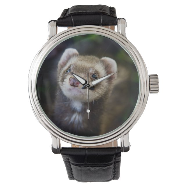 Montre Ferret (devant)