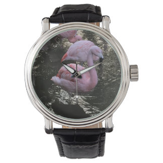 Montre Flamant rose