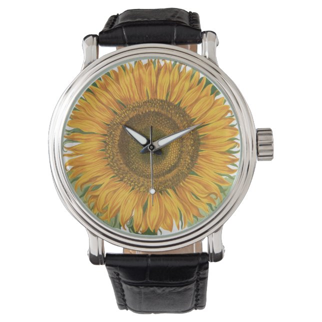 Montre Fleur de tournesol vintage par Basilius Besler (devant)