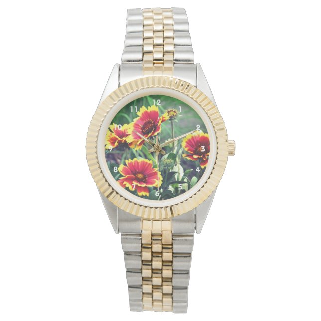 Montre Fleur Gaillardia Rouge Et Jaune (devant)