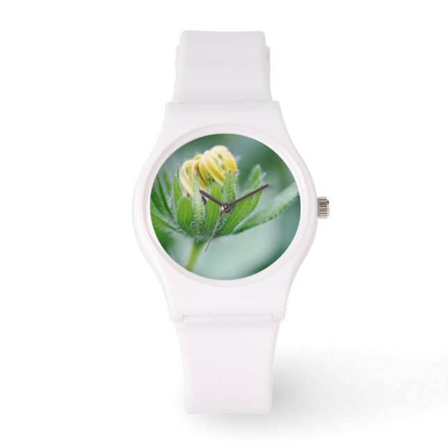 Montre Fleur ouverte de l'Echinacea (Recto)
