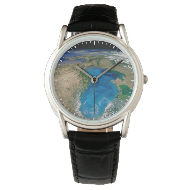 Montre Floraison De Phytoplancton Bleu En Mer Noire (devant)