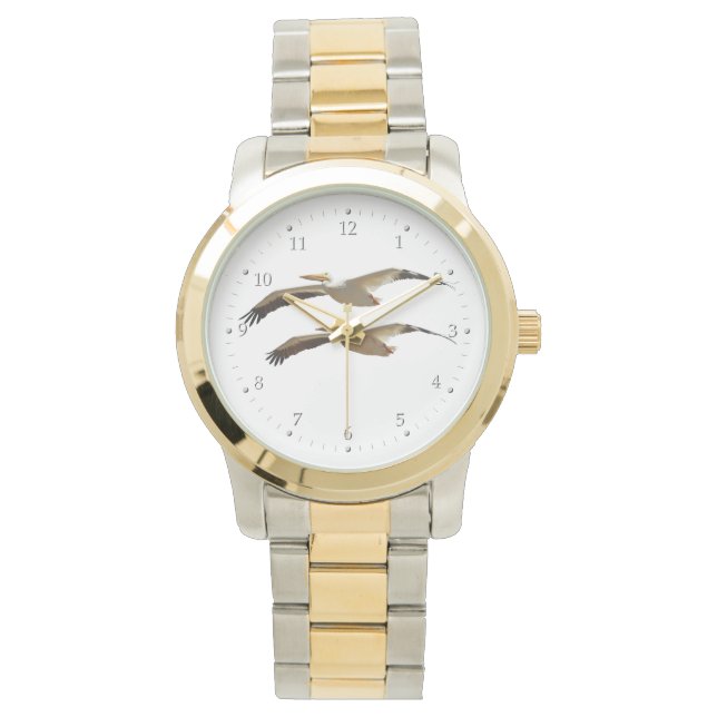 Montre Flying Pelican 4 Watch (devant)