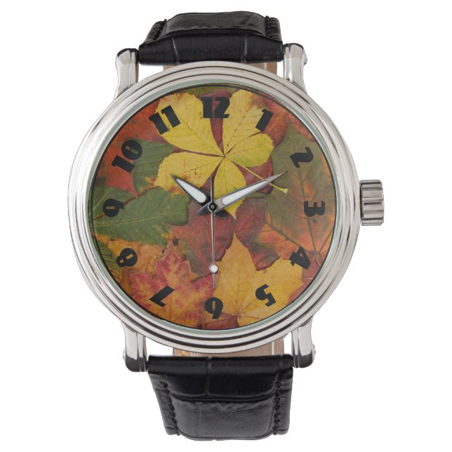Montre Folithe d'automne (devant)