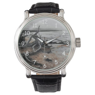 Montre Forces naturelles du lac Tyrrell