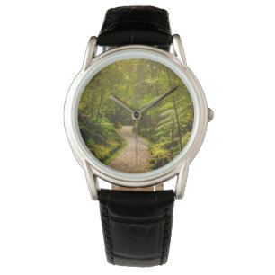 Montre Forêt Chemin De Marche Dans La Forêt