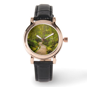 Montre Forêt Chemin De Marche Dans La Forêt