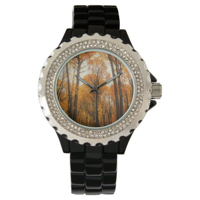 Montre Forêt d'Orange (devant)