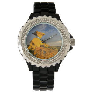Montre Formation des Badlands sculptés dans l'herbe court