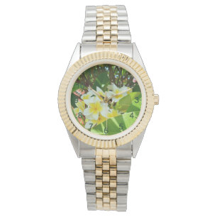 Montre Frangipanis Jaune Cultivant Sur Un Arbre,